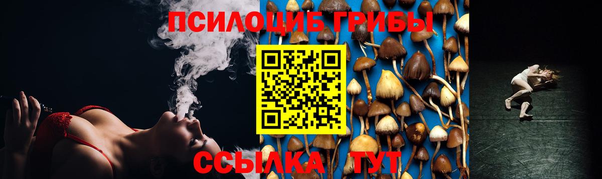 Галлюциногенные грибы MAGIC MUSHROOMS  Вход с VPN  Дальнереченск  Галлюциногенные грибы Psilocybe 