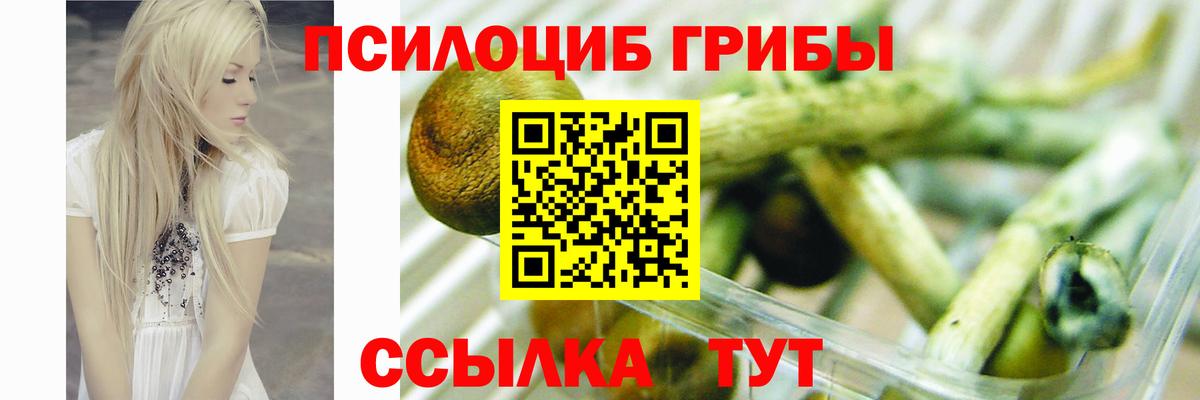 Галлюциногенные грибы GOLDEN TEACHER Дальнереченск